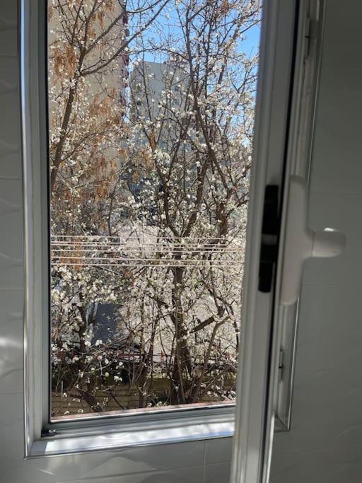 Warm Apartment In The Center Of Tirana City Kültér fotó
